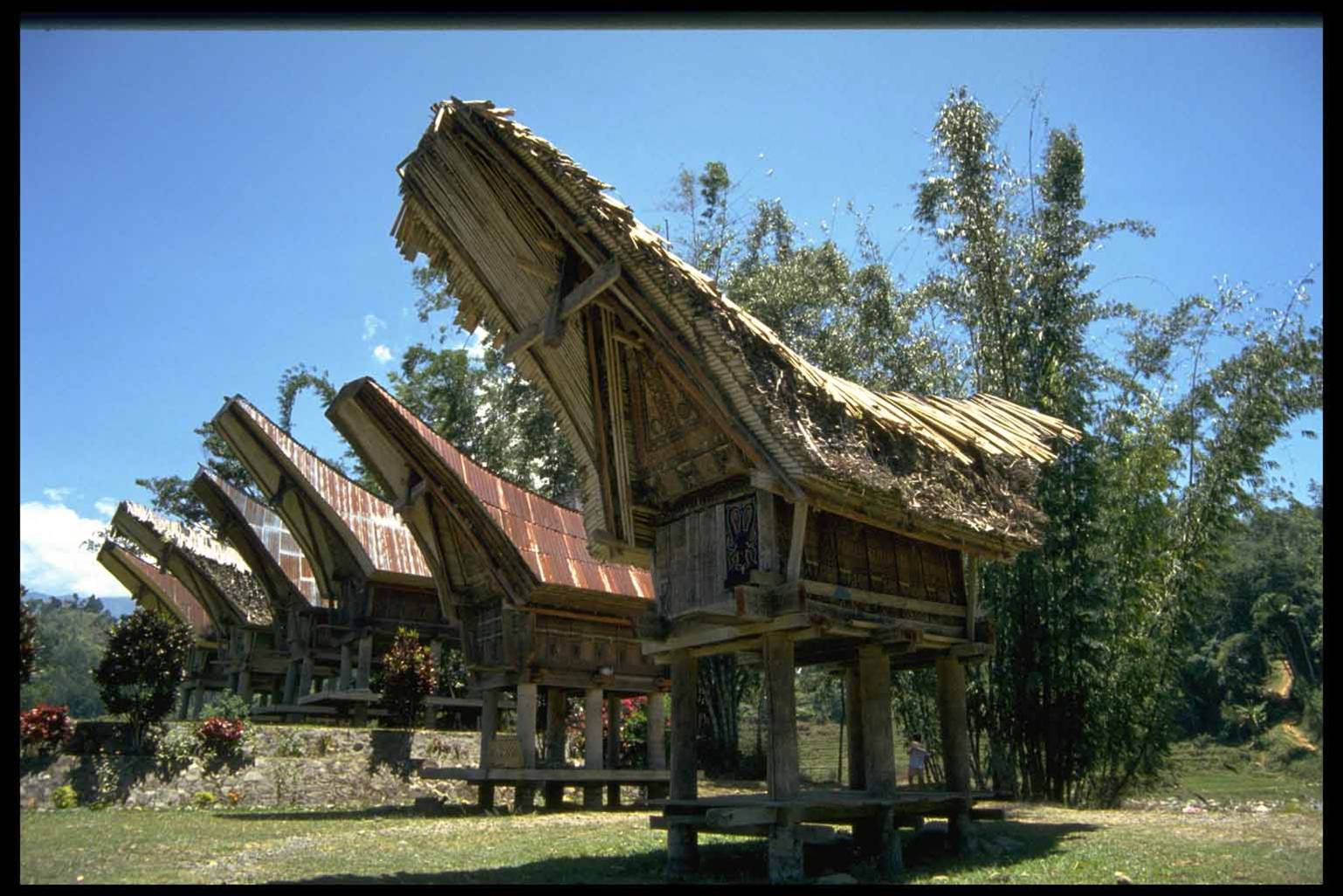 Toraja House, South Sulawesi  kebudayaan Indonesia